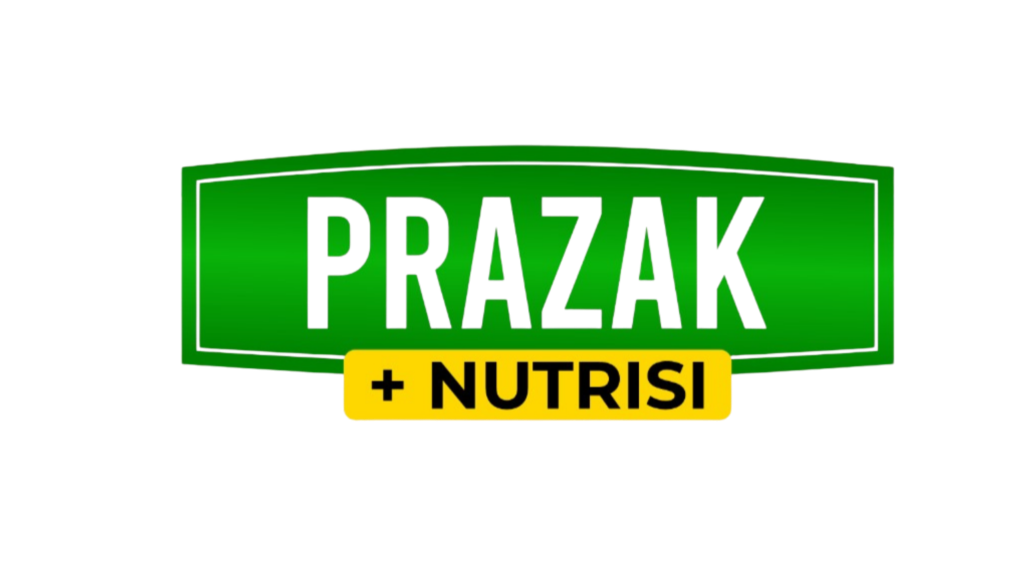 Prazak Logo