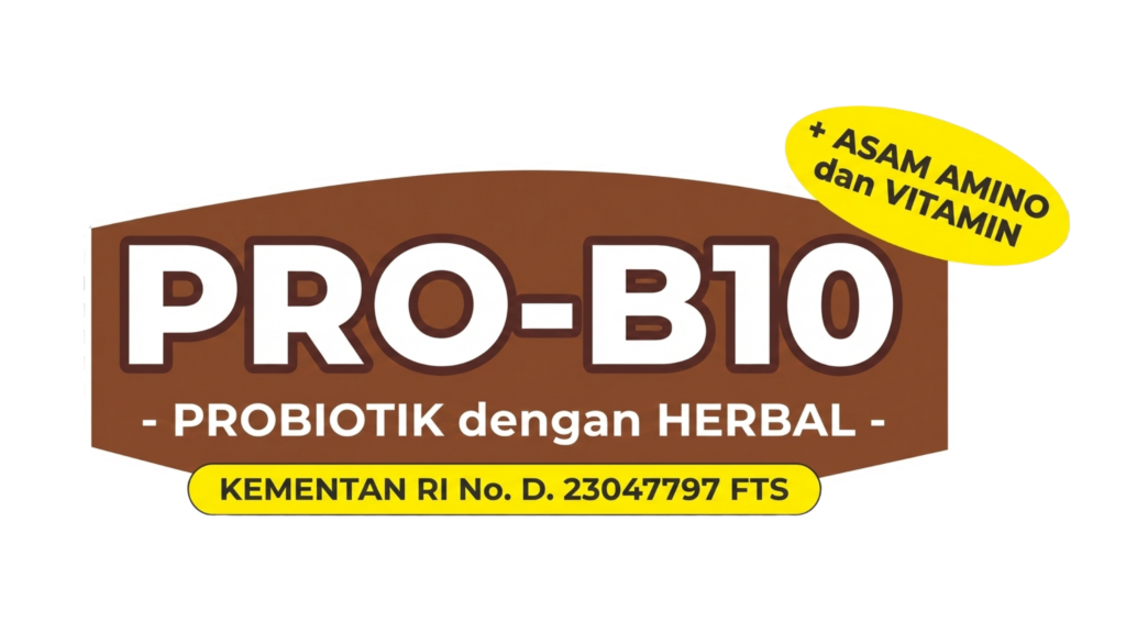 PRO-B10 Logo